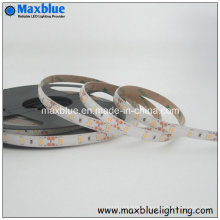 DC12V IP65 étanche Samsung / Lumenmax 5630 SMD LED Strip